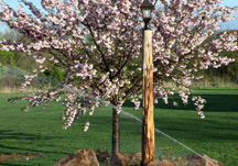 Residential Irrigation Gallery Thumbnail