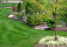 Residential Irrigation Gallery Thumbnail