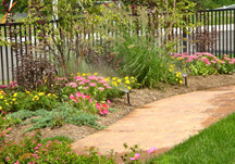 Residential Irrigation Gallery Thumbnail
