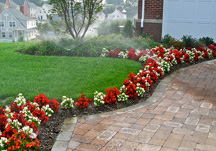 Residential Irrigation Gallery Thumbnail