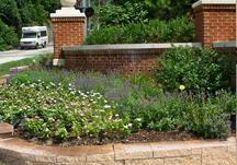 Residential Irrigation Gallery Thumbnail